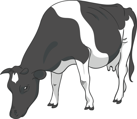 Soil Health Consulting